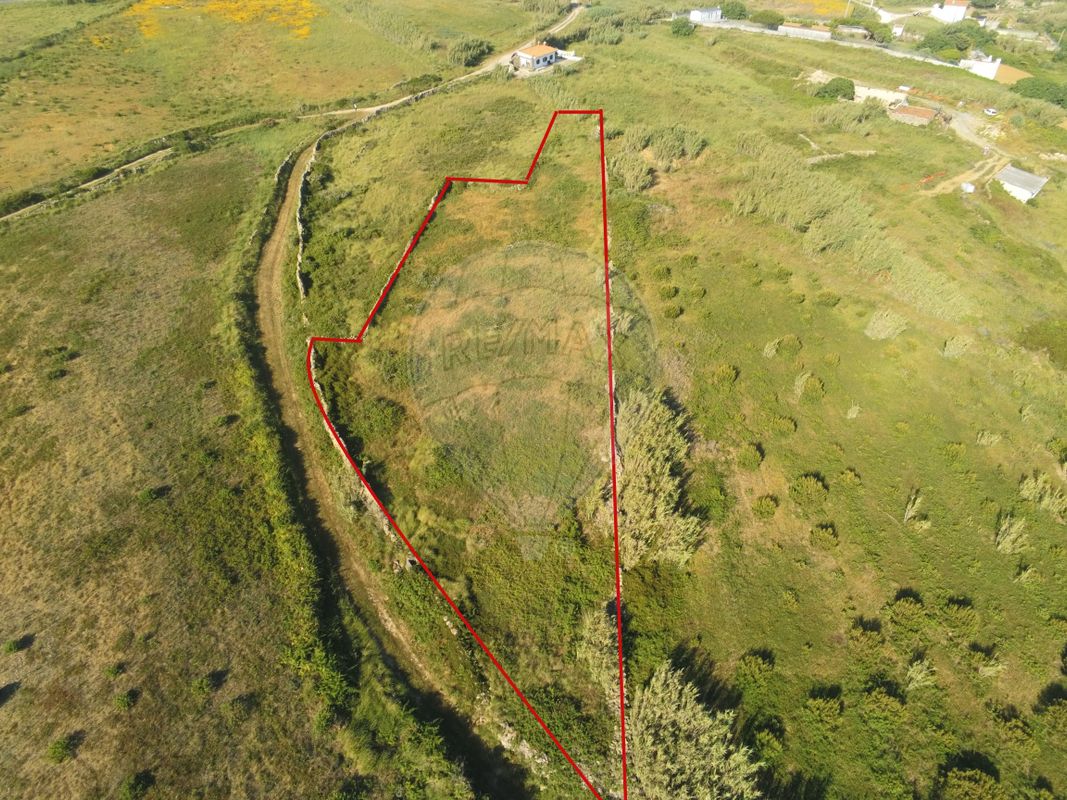 Terreno  à venda em Cortesia