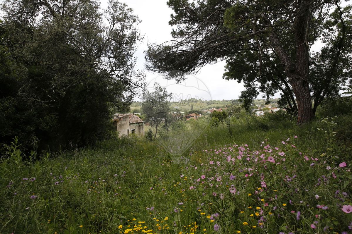 Terreno  à venda em Sintra