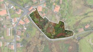 Moradia T1 à venda em Póvoa de Lanhoso