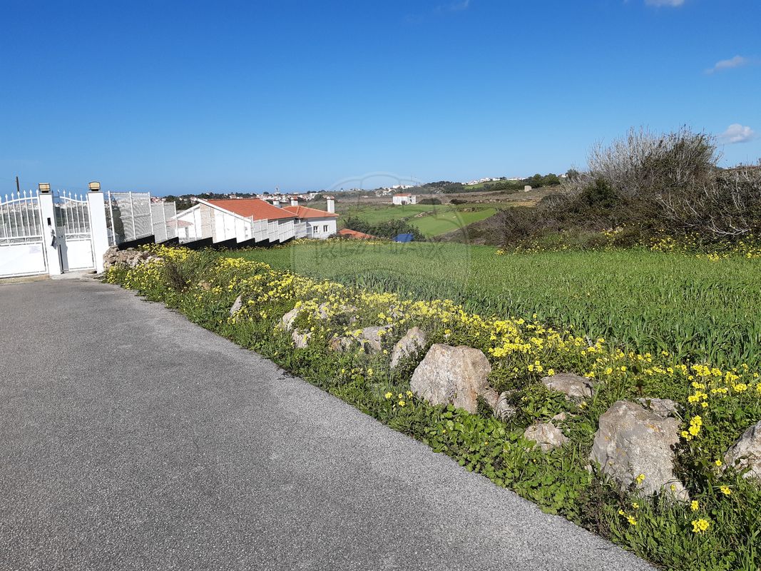 Terreno  à venda em Mafra