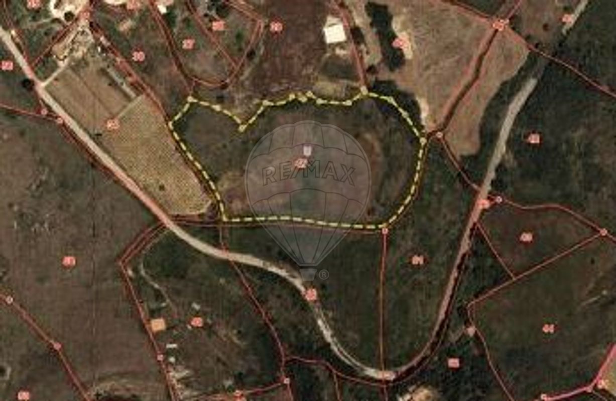 Terreno  à venda em São Romão
