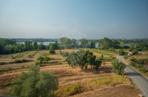 Terreno  à venda em Águeda