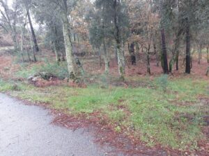 Terreno  à venda em Vieira do Minho