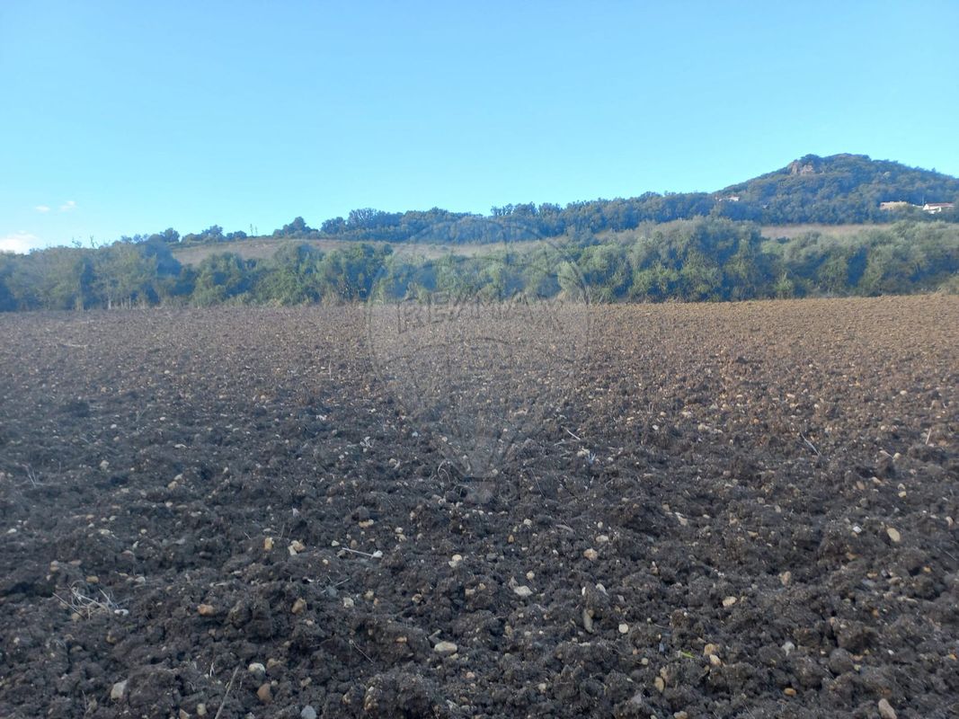 Terreno  à venda em Cheleiros