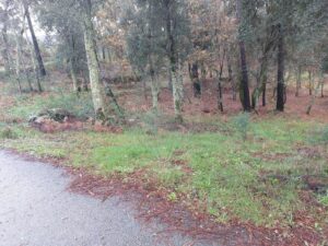 Terreno  à venda em Vieira do Minho