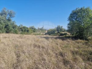 Terreno  à venda em Anadia