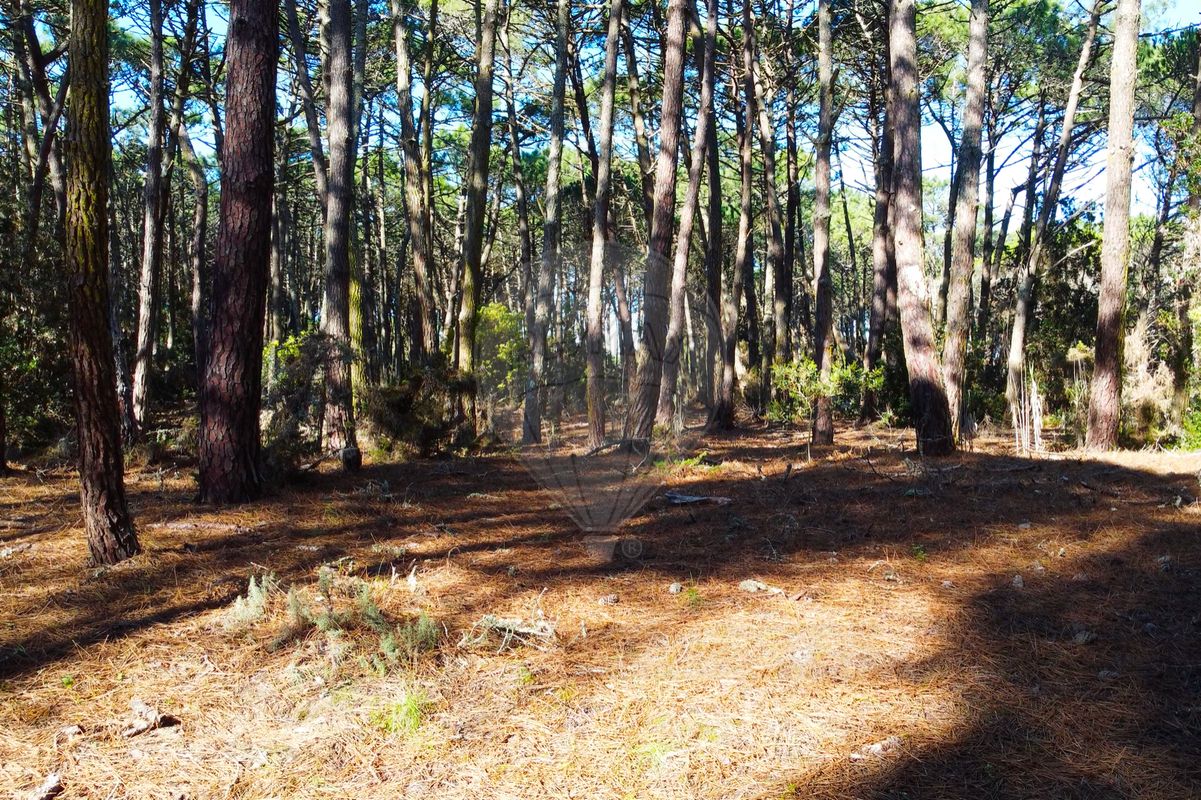Terreno  à venda em Azenhas do Mar