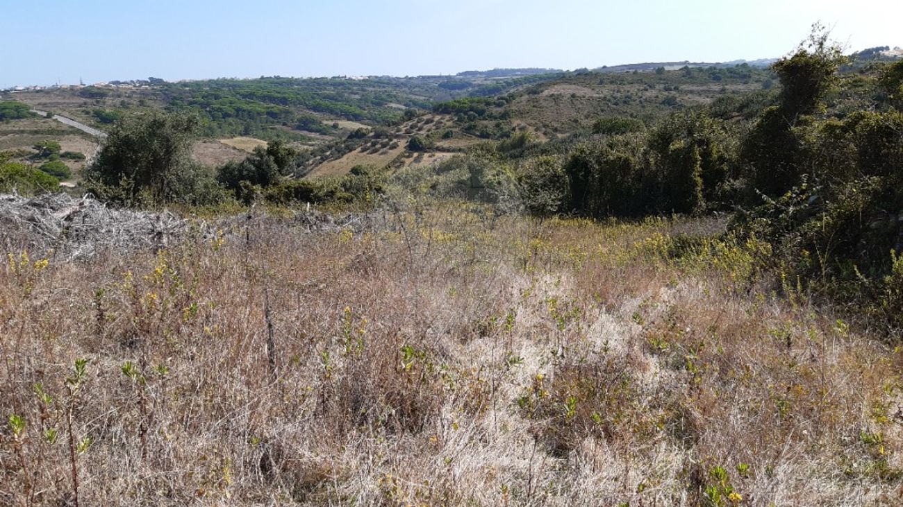 Terreno  à venda em Fontanelas