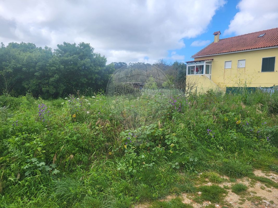 Terreno  à venda em Sintra