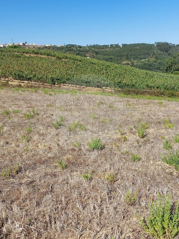Terreno  à venda em Chanca