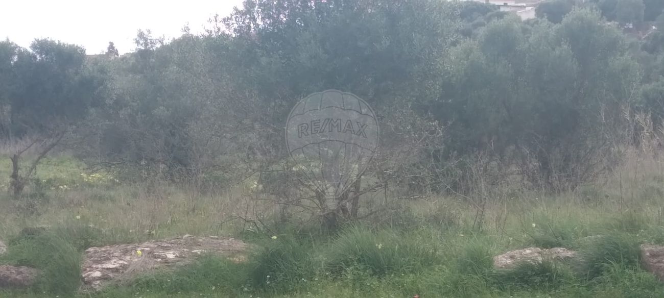 Terreno  à venda em Sintra