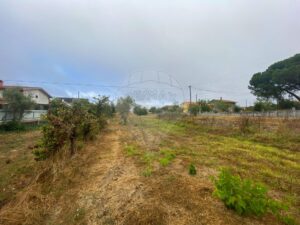 Terreno  à venda em Vimieira