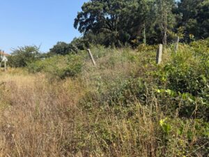 Terreno  à venda em Vale de Cambra