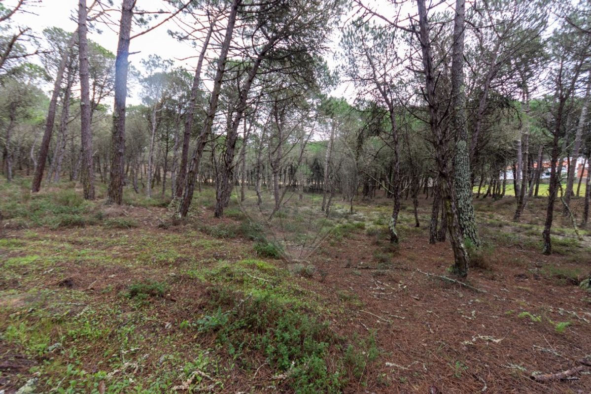 Terreno  à venda em Janas