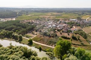 Moradia T3 à venda em Anadia