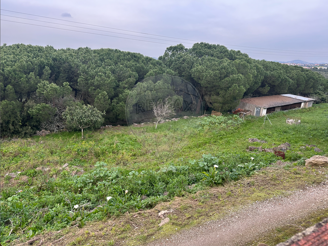 Terreno  à venda em Sintra