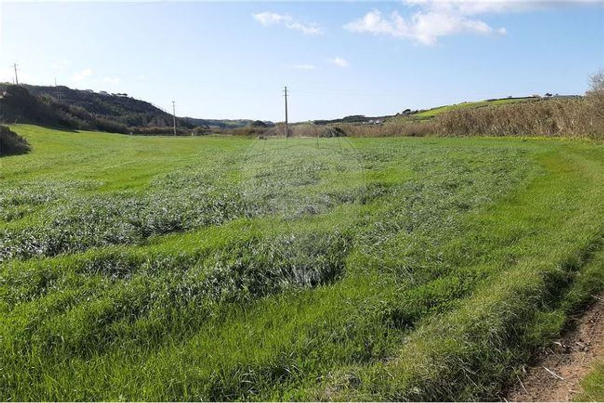 Terreno  à venda em Mafra