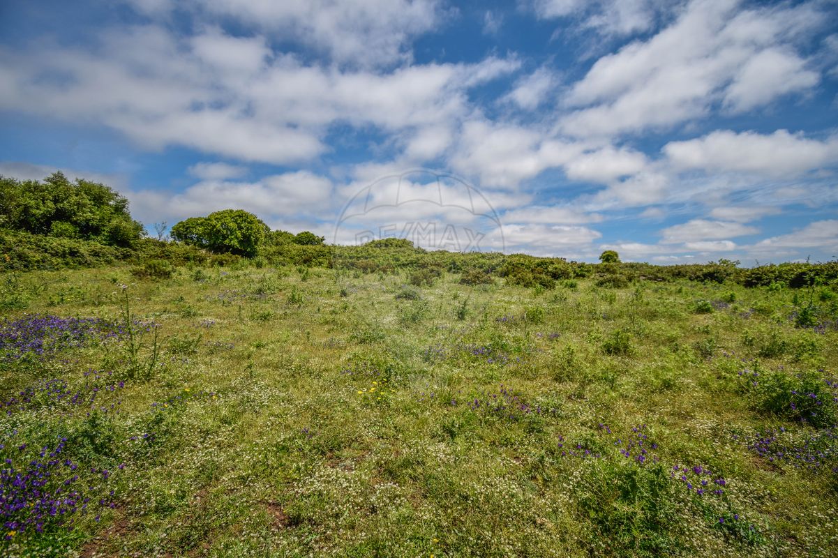 Terreno  à venda em Aruil de Cima