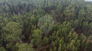 Terreno  à venda em Póvoa de Lanhoso