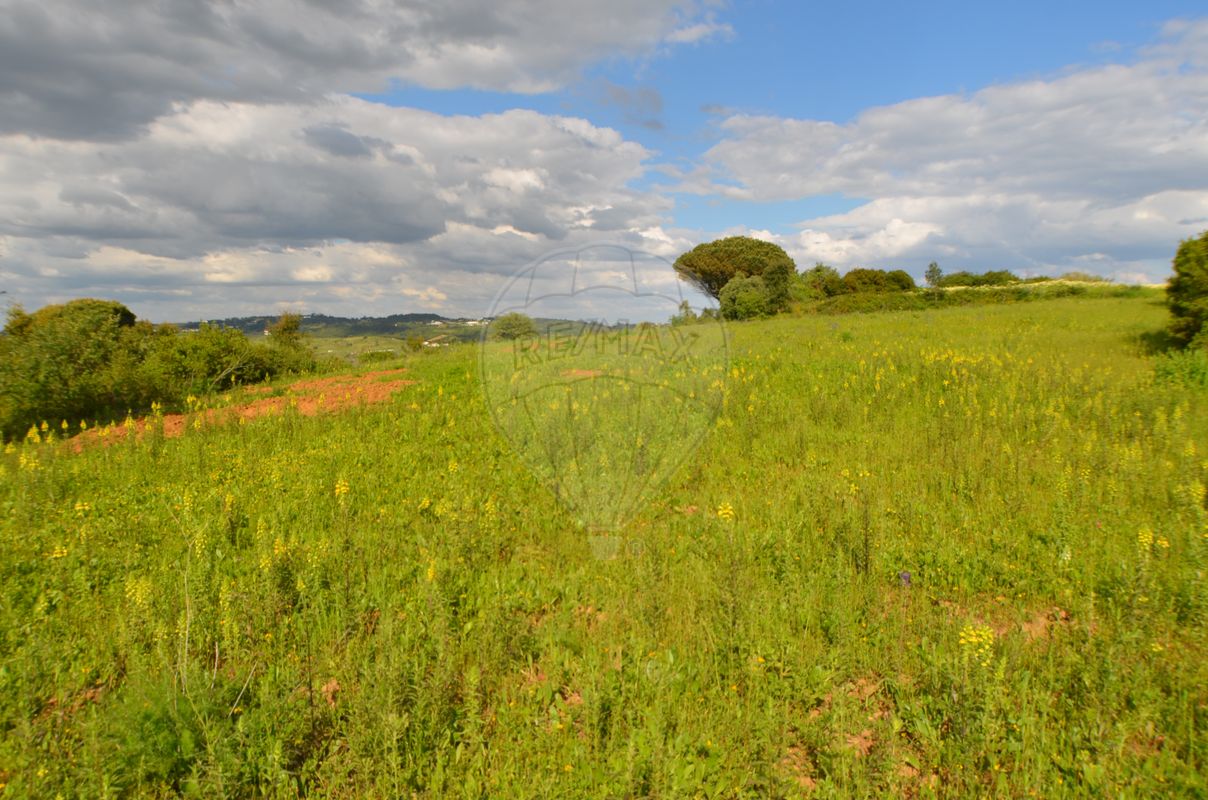 Terreno  à venda em Alenquer
