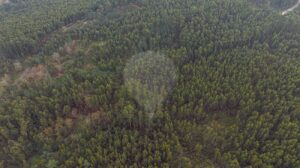 Terreno  à venda em Póvoa de Lanhoso