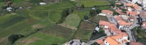 Terreno  à venda em Oliveira de Azeméis