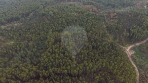 Terreno  à venda em Póvoa de Lanhoso