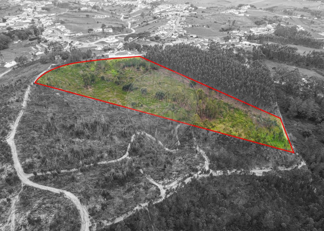 Terreno  à venda em Alenquer