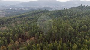 Terreno  à venda em Póvoa de Lanhoso