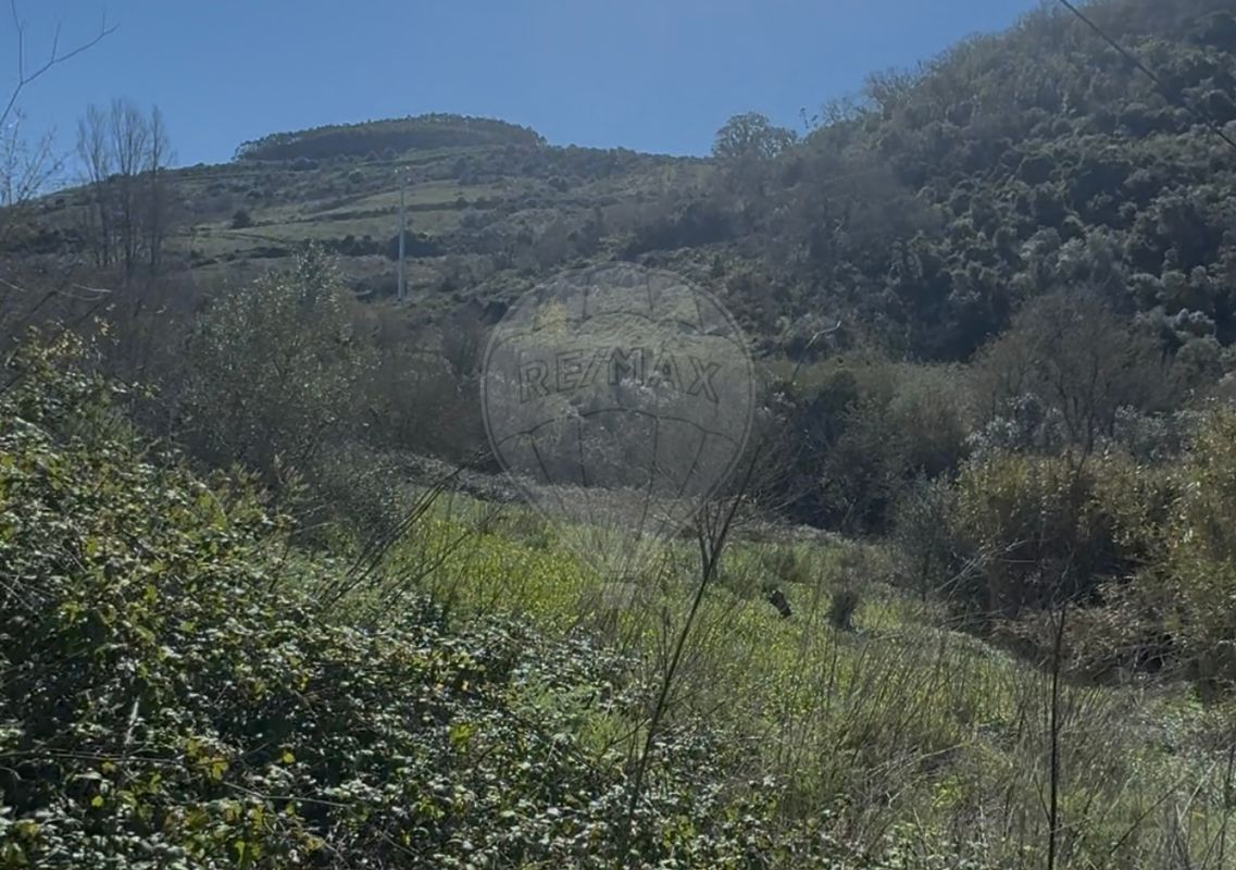 Terreno  à venda em Mafra