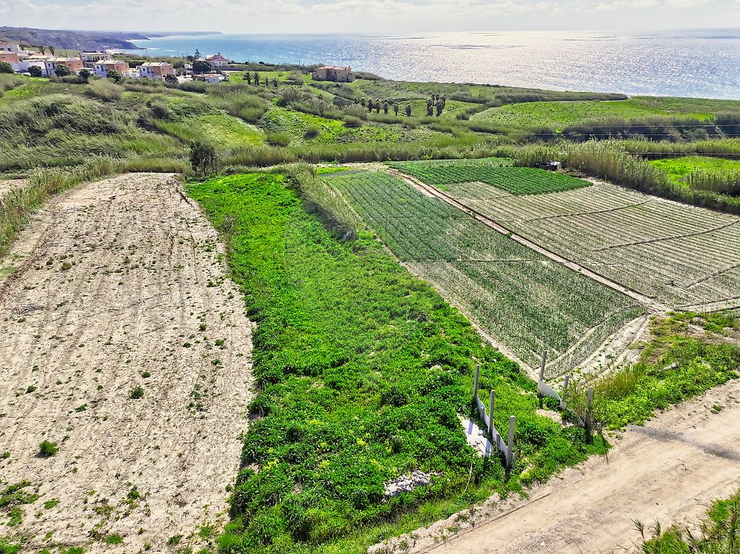 Terreno  à venda em Lourinhã