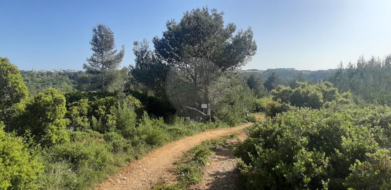 Terreno  à venda em Cascais