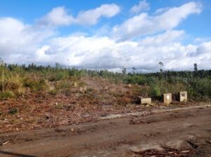 Terreno  à venda em Águeda