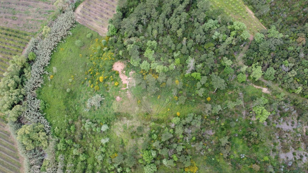 Terreno  à venda em Cadaval