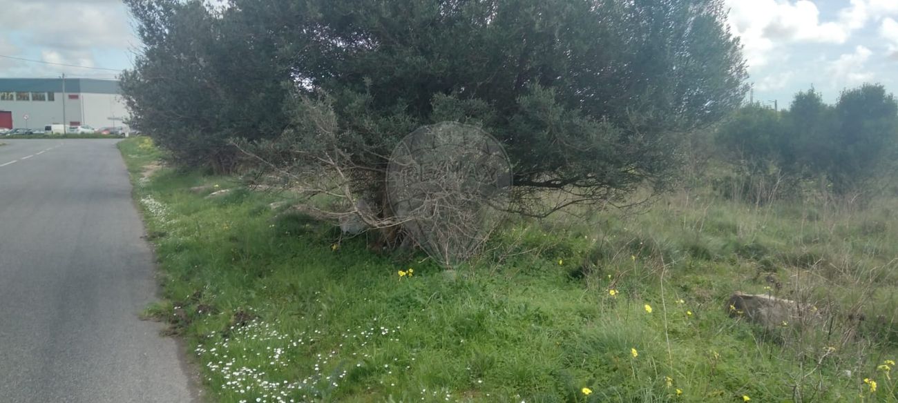 Terreno  à venda em Sintra