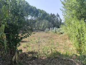 Terreno  à venda em Oliveira do Bairro