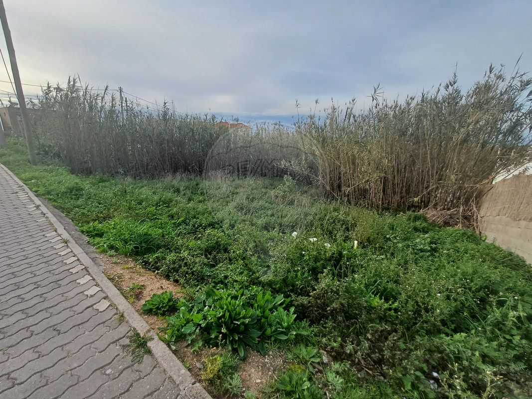 Terreno  à venda em Mafra