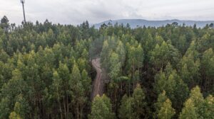 Terreno  à venda em Póvoa de Lanhoso