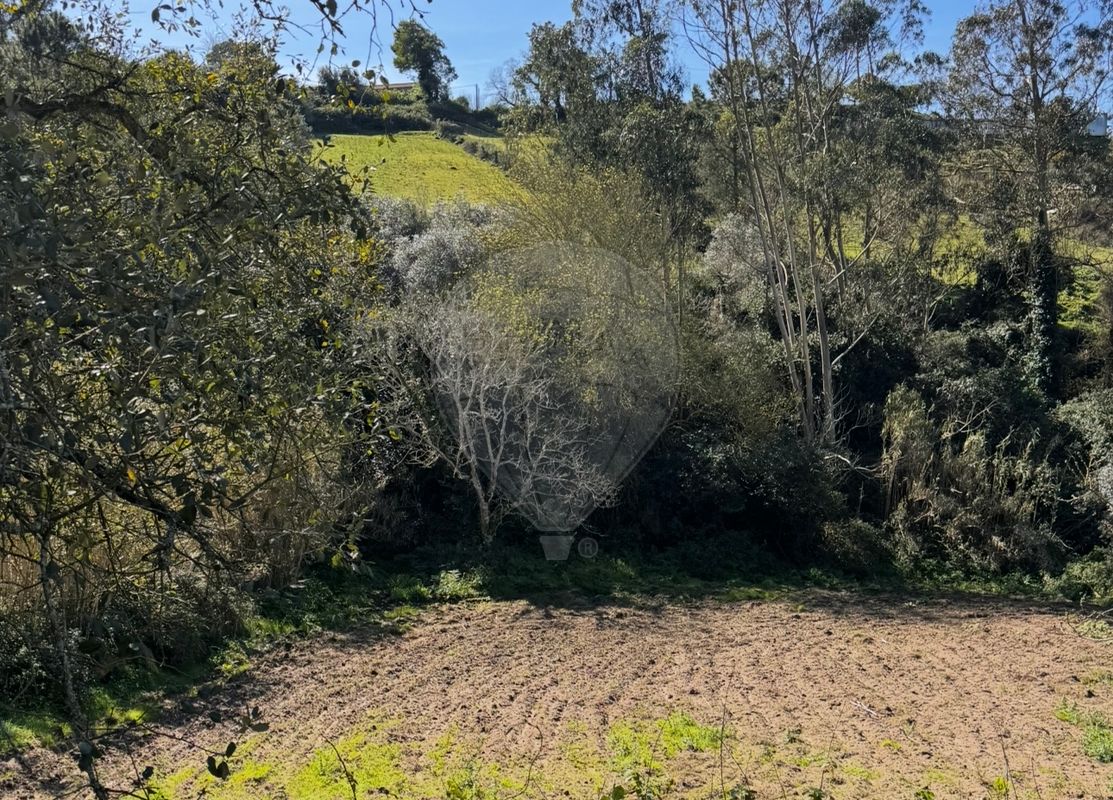 Terreno  à venda em Mafra