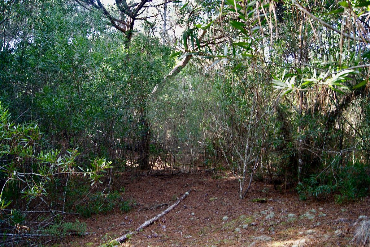 Terreno  à venda em Pedra Alta