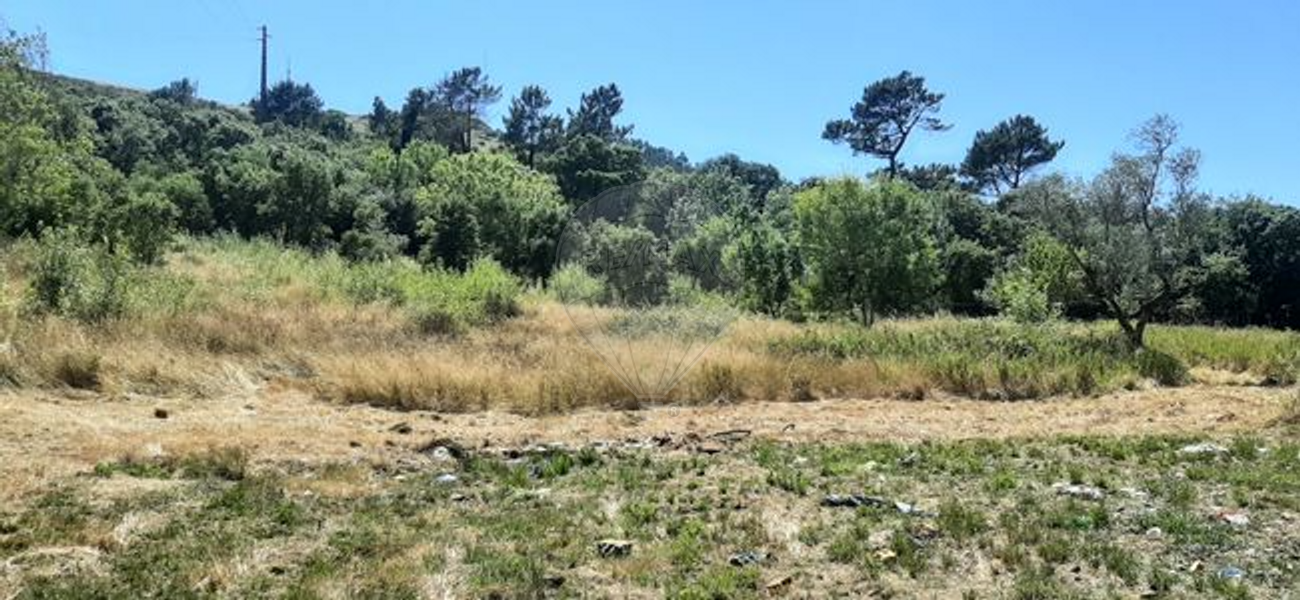 Terreno  à venda em Loures