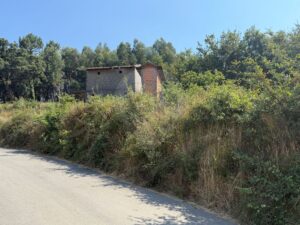 Terreno  à venda em Vale de Cambra