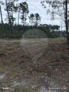 Terreno  à venda em Cantanhede