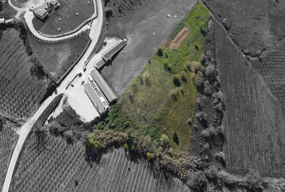 Terreno  à venda em Cadaval