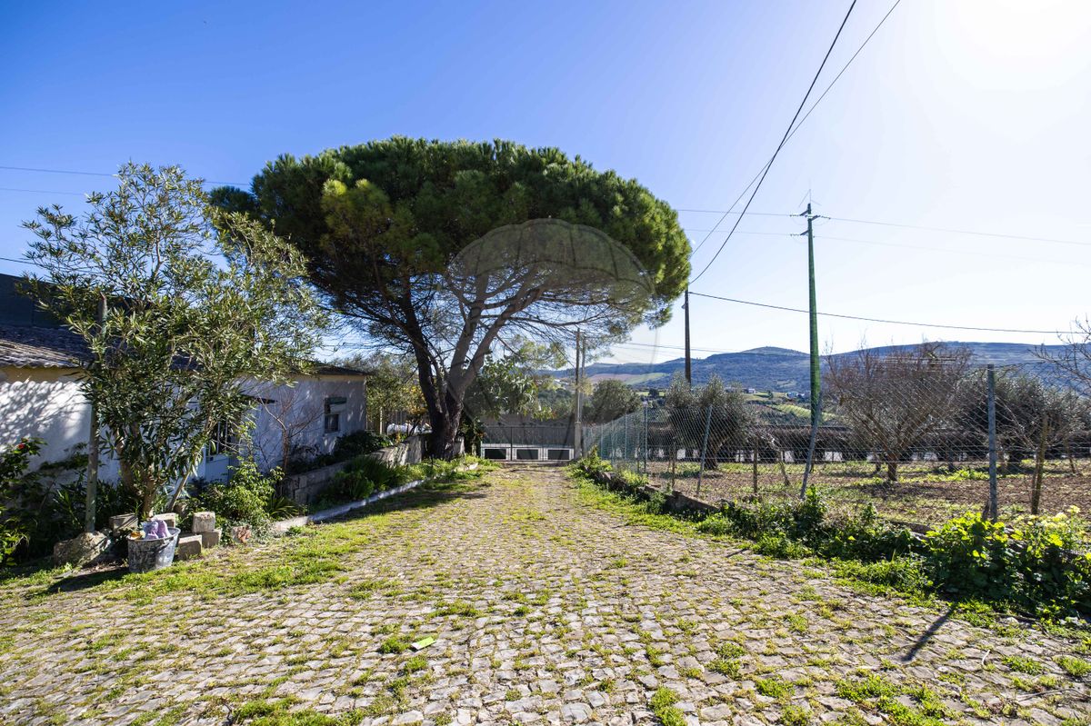 Quinta  à venda em Quinta da Chamorra
