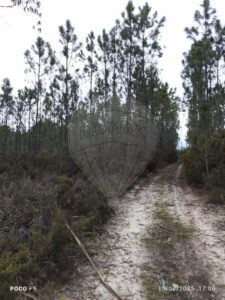 Terreno  à venda em Cantanhede
