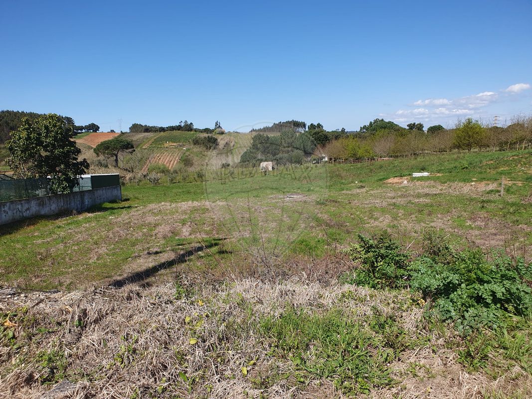 Terreno  à venda em Cadaval