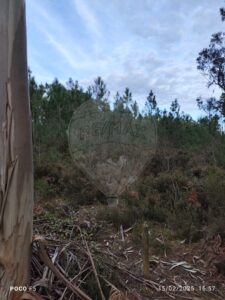 Terreno  à venda em Cantanhede