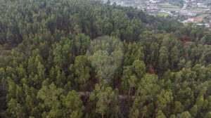 Terreno  à venda em Póvoa de Lanhoso