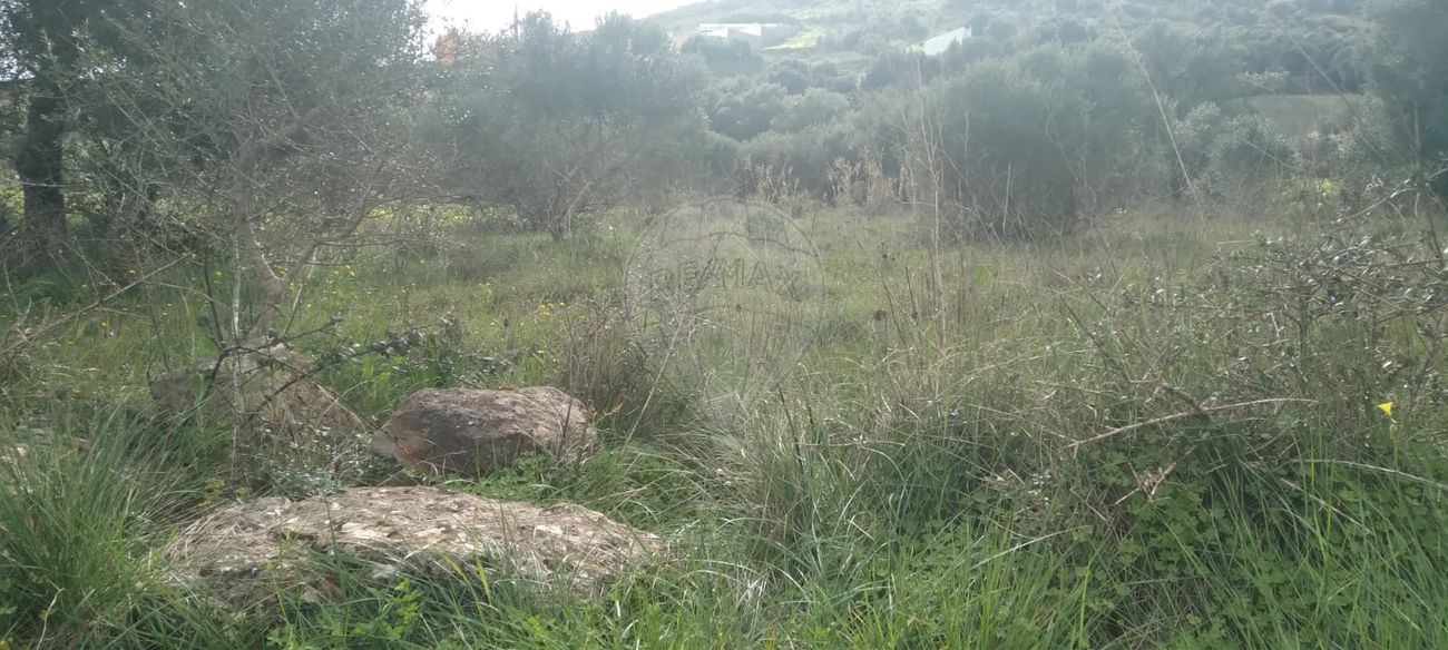 Terreno  à venda em Sintra
